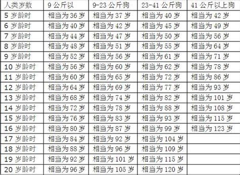 生肖狗年份|属狗的年份有哪些 属狗的年份及年龄对照表